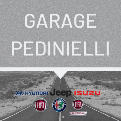Garage Pedinielli Gap