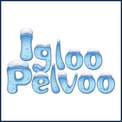 Village Igloo Pelvoo