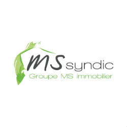 MS Syndic