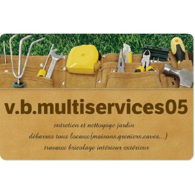VB Multiservices 05