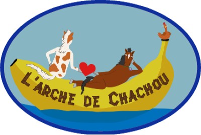 L'Arche de Chachou Baratier