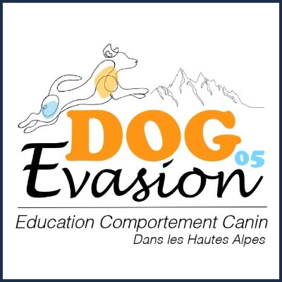 Dog Evasion