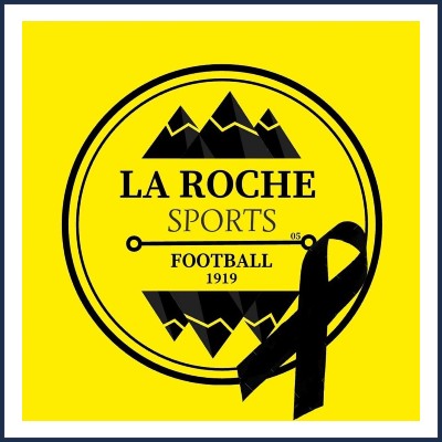 La Roche Sports Football